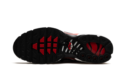 Air Max Plus "Black White University Red" DM0032 004